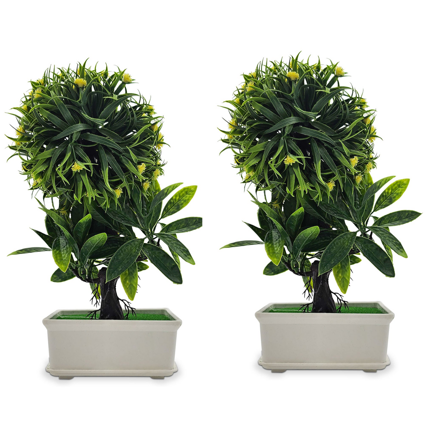 82504658