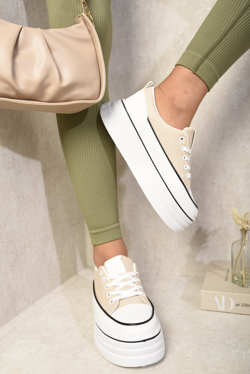 82553666