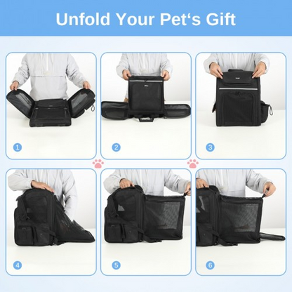 82500245