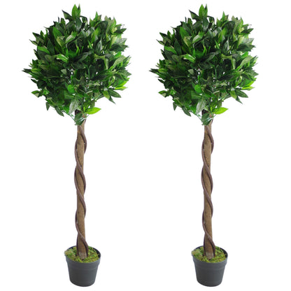 Set of 2 Twist 120cm (4ft) Bay Laurel Natural-Style Topiary Ball Trees