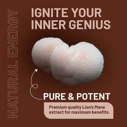 Lion’s Mane Mushroom 4000mg 15:1 Extract with B Vitamins & Black Pepper